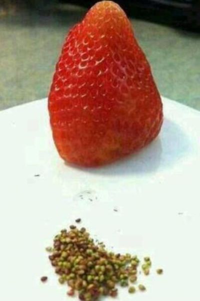 morning picdump 55 pics 10.html - 55 HD Photos | Premium Gallery 2013