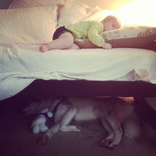 morning picdump 55 pics 10.html - 55 HD Photos | Premium Gallery 2013