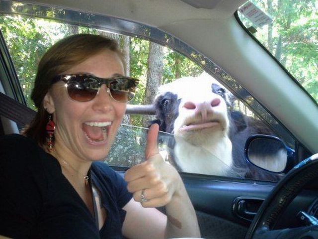 morning picdump 55 pics 10.html - 55 HD Photos | Premium Gallery 2013