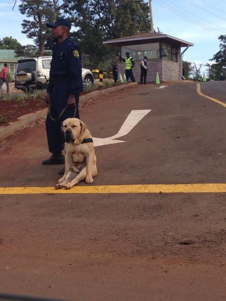 morning picdump 57 pics 25.html - 57 HD Photos | Premium Gallery 2013