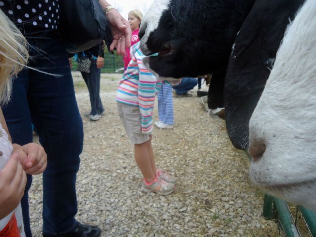 morning picdump 57 pics 17.html - 57 HD Photos | Premium Gallery 2013