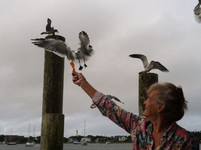 morning picdump 57 pics 17.html - 57 HD Photos | Premium Gallery 2013