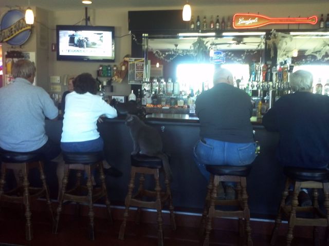 morning picdump 57 pics 17.html - 57 HD Photos | Premium Gallery 2013