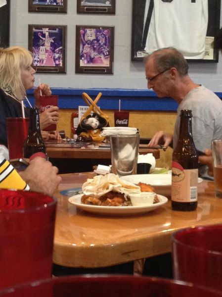 morning picdump 57 pics 17.html - 57 HD Photos | Premium Gallery 2013