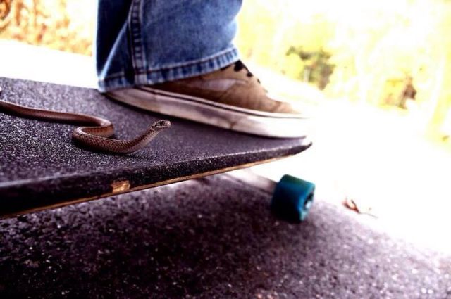 morning picdump 57 pics 17.html - 57 HD Photos | Premium Gallery 2013