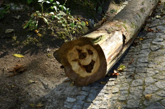 morning picdump 57 pics 17.html - 57 HD Photos | Premium Gallery 2013