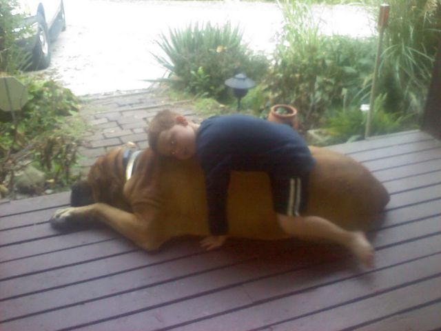 morning picdump 57 pics 17.html - 57 HD Photos | Premium Gallery 2013