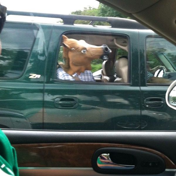 morning picdump 57 pics 17.html - 57 HD Photos | Premium Gallery 2013