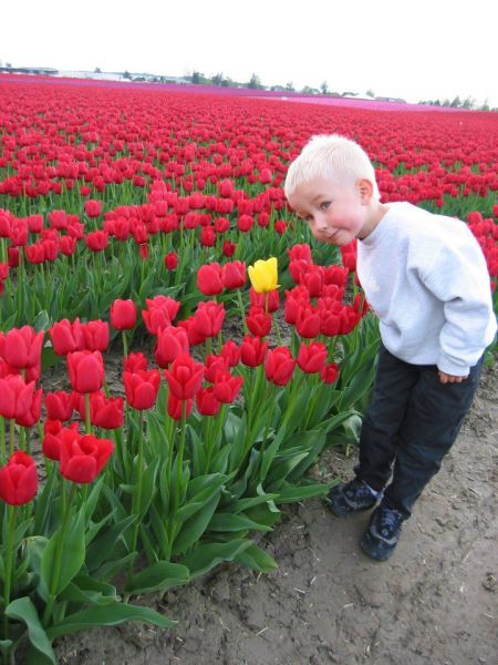 morning picdump 57 pics 17.html - 57 HD Photos | Premium Gallery 2013