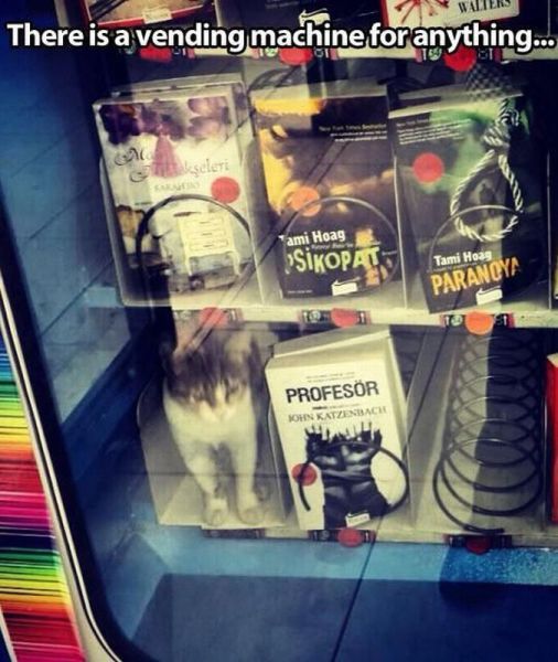 morning picdump 57 pics 12.html - 57 HD Photos | Premium Gallery 2013
