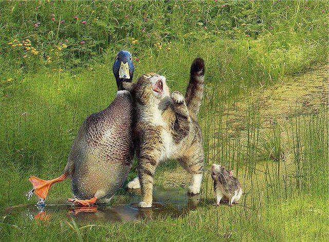 morning picdump 53 pics 3.html - 53 HD Photos | Premium Gallery 2013