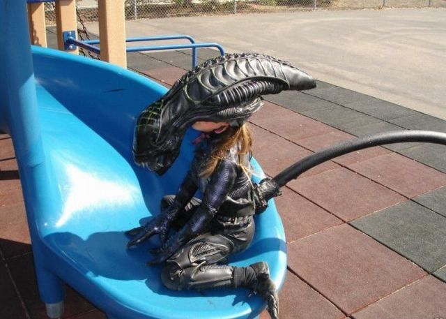Morning Picdump
