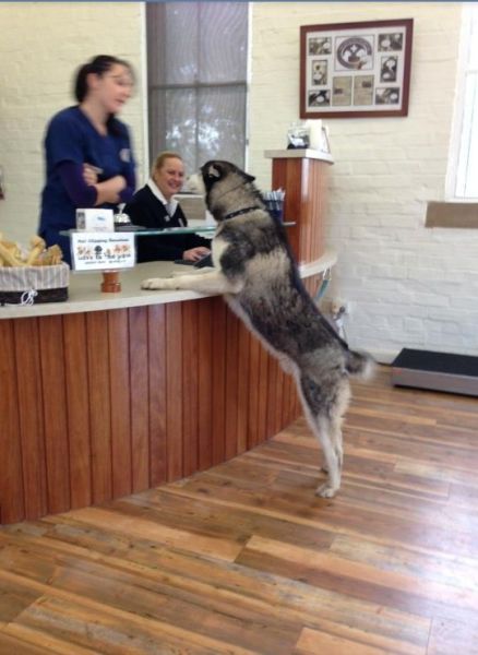 morning picdump 54 pics 5.html - 54 HD Photos | Premium Gallery 2013