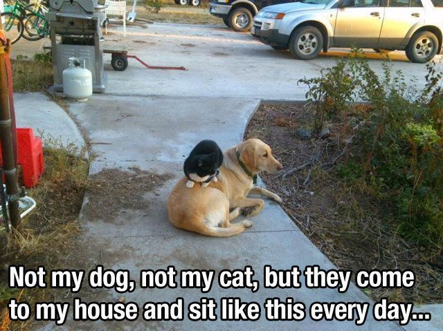 morning picdump 54 pics 5.html - 54 HD Photos | Premium Gallery 2013