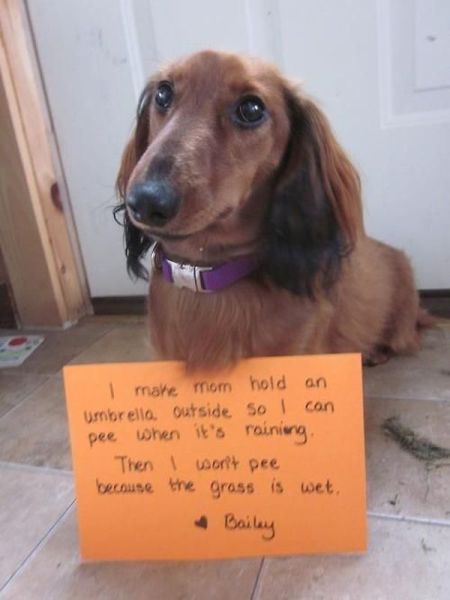 morning picdump 57 pics 25.html - 57 HD Photos | Premium Gallery 2013