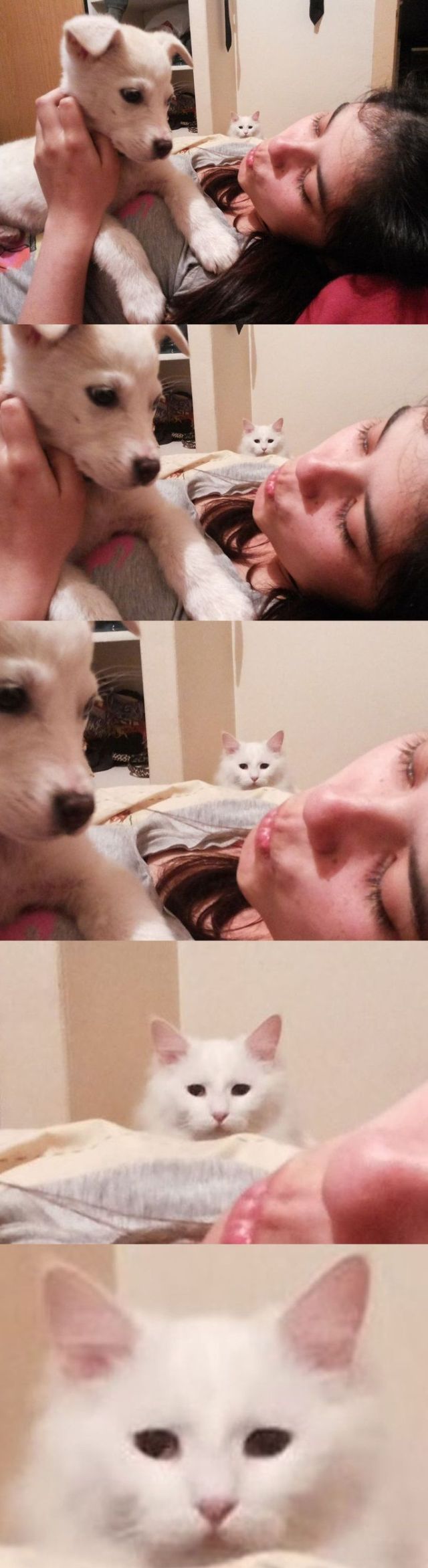 Morning Picdump