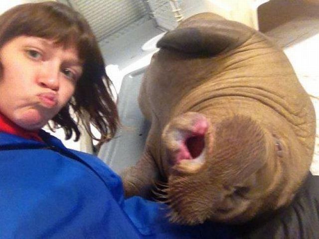 Morning Picdump
