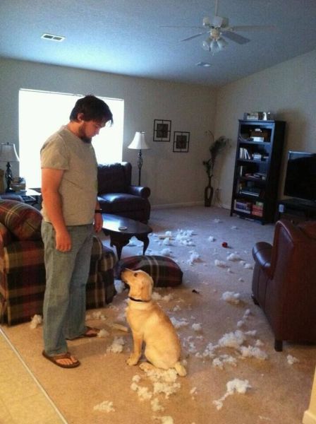 Morning Picdump