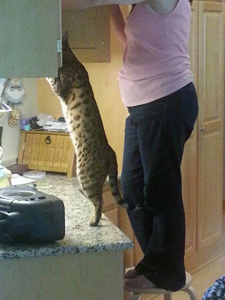 morning picdump 57 pics 2.html - 57 HD Photos | Premium Gallery 2013