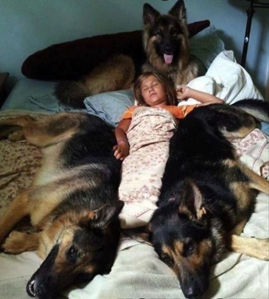 Morning Picdump