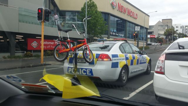 Morning Picdump