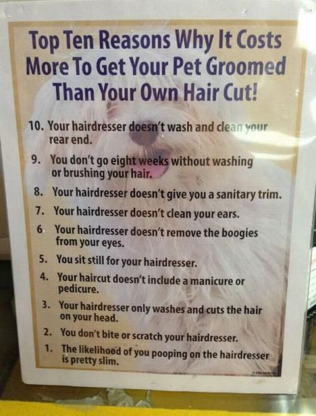 morning picdump 54 pics 7.html - 54 HD Photos | Premium Gallery 2013