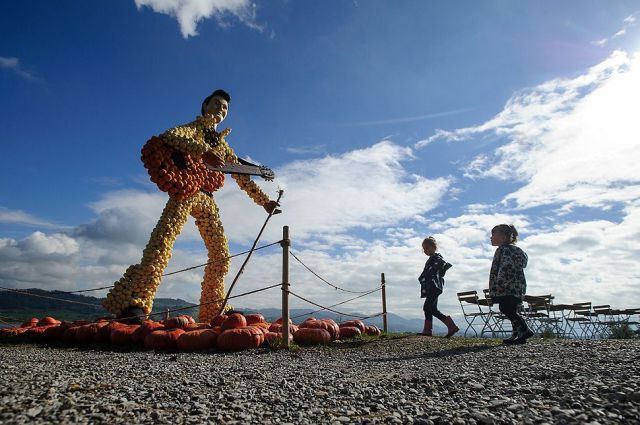 morning picdump 55 pics 18.html - 55 HD Photos | Premium Gallery 2013