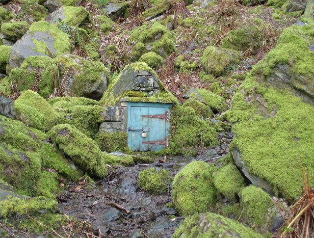 morning picdump 55 pics 18.html - 55 HD Photos | Premium Gallery 2013