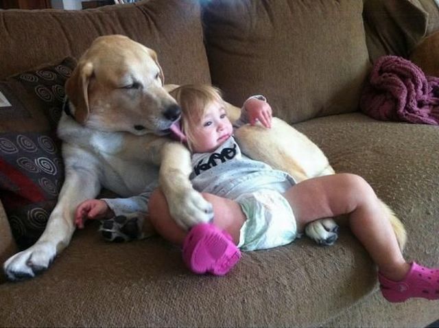 morning picdump 55 pics 18.html - 55 HD Photos | Premium Gallery 2013