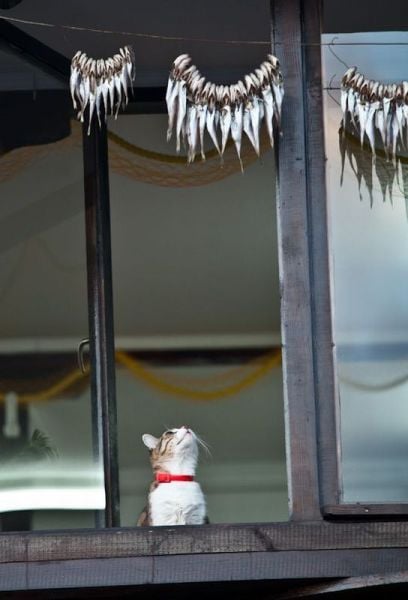 morning picdump 55 pics 18.html - 55 HD Photos | Premium Gallery 2013