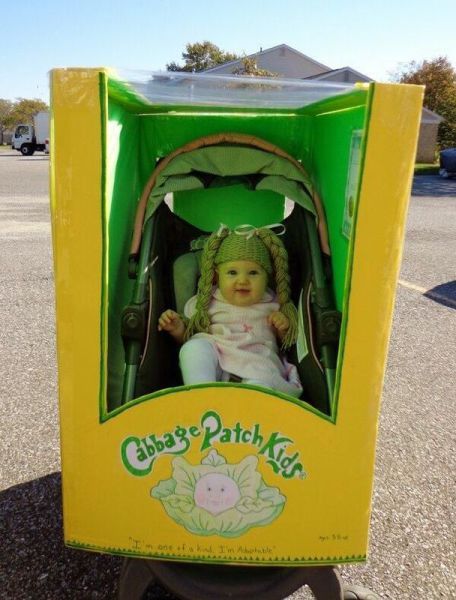 Morning Picdump
