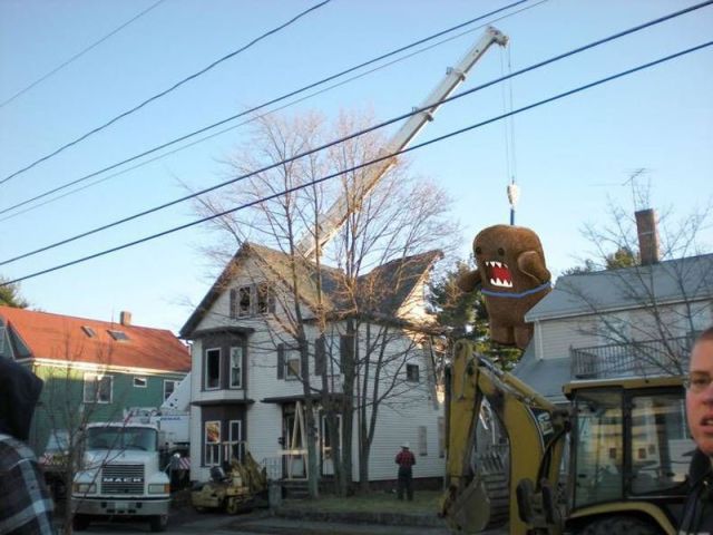 morning picdump 57 pics 15.html - 57 HD Photos | Premium Gallery 2013