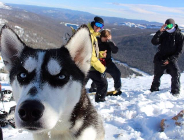 morning picdump 57 pics 15.html - 57 HD Photos | Premium Gallery 2013