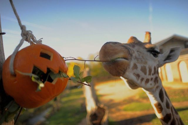 morning picdump 53 pics 6.html - 53 HD Photos | Premium Gallery 2013