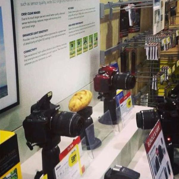 morning picdump 53 pics 6.html - 53 HD Photos | Premium Gallery 2013