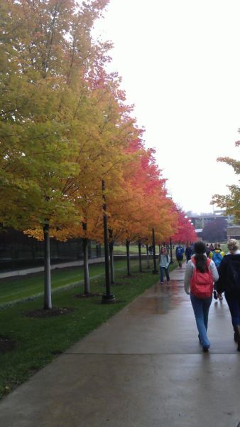 morning picdump 53 pics 6.html - 53 HD Photos | Premium Gallery 2013