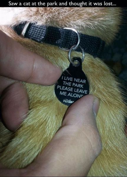 morning picdump 56 pics 17.html - 56 HD Photos | Premium Gallery 2013