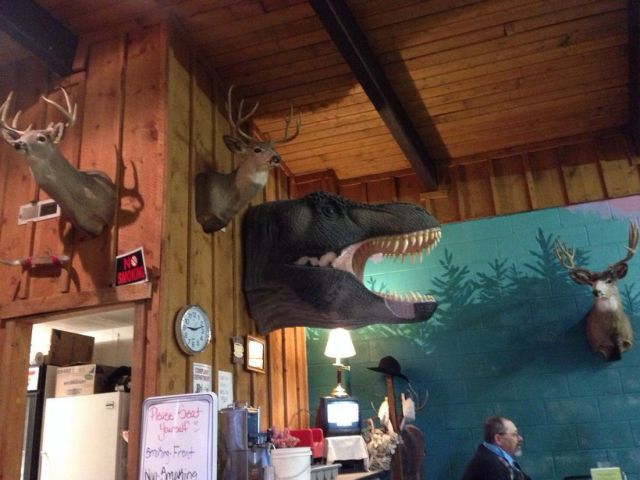 morning picdump 56 pics 17.html - 56 HD Photos | Premium Gallery 2013