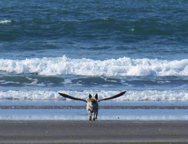 morning picdump 52 pics 3.html - 52 HD Photos | Premium Gallery 2013