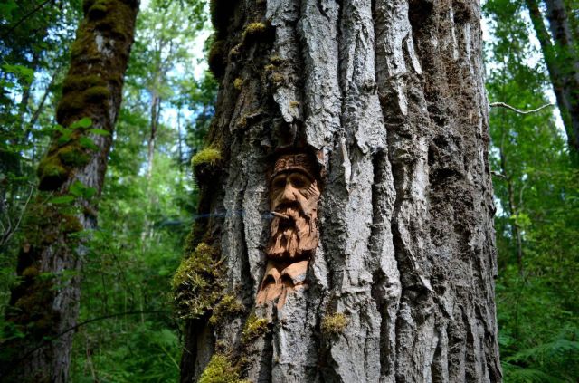 morning picdump 52 pics 3.html - 52 HD Photos | Premium Gallery 2013