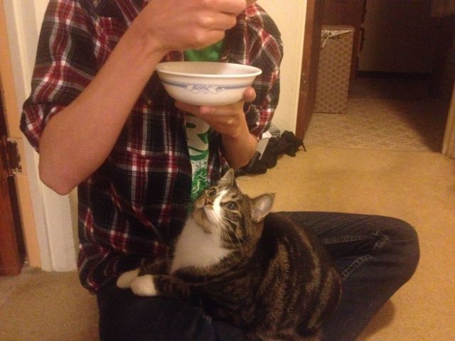 morning picdump 53 pics 7.html - 53 HD Photos | Premium Gallery 2013