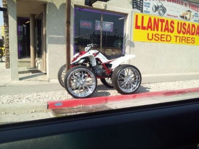 Daily Picdump [WEEKEND EDITION]