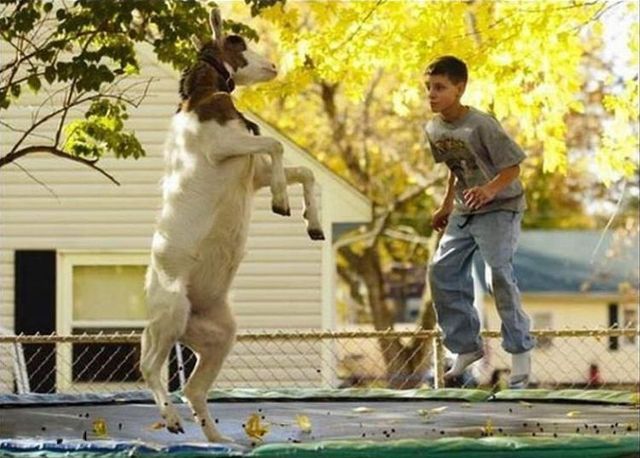 daily picdump weekend edition 95 pics 1.html - 95 HD Photos | Premium Gallery 2013