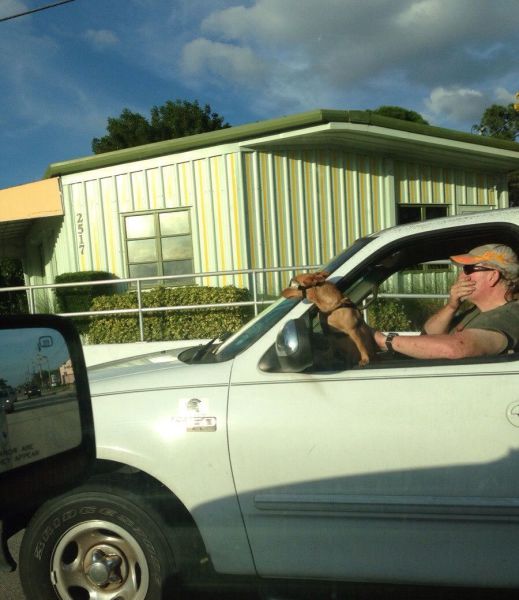 daily picdump weekend edition 95 pics 1.html - 95 HD Photos | Premium Gallery 2013