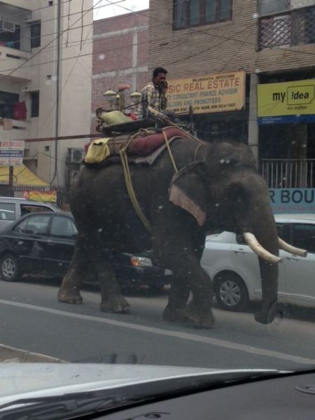 daily picdump weekend edition 95 pics 1.html - 95 HD Photos | Premium Gallery 2013