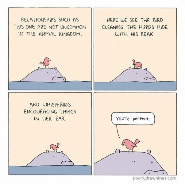 daily picdump weekend edition 95 pics 1.html - 95 HD Photos | Premium Gallery 2013