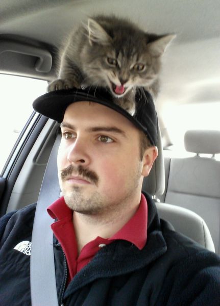 morning picdump 56 pics 24.html - 56 HD Photos | Premium Gallery 2013