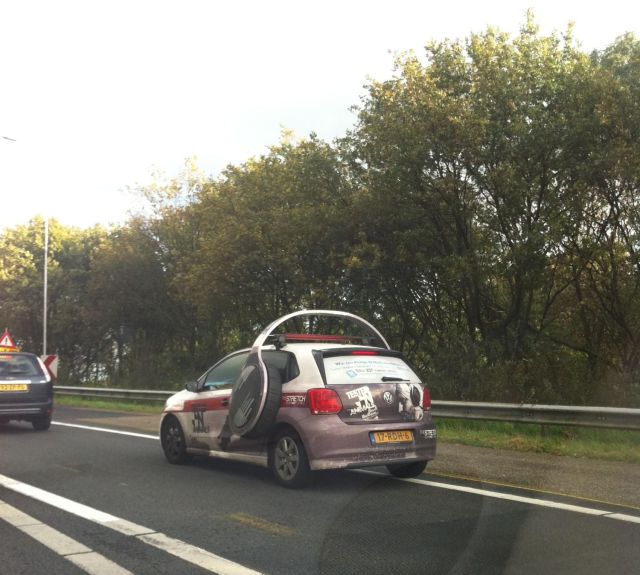 Morning Picdump