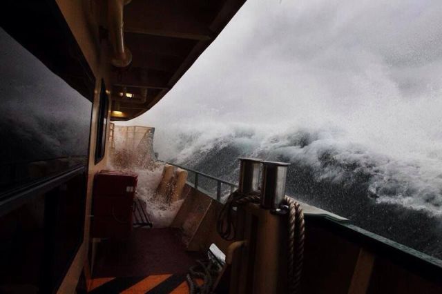 morning picdump 55 pics 2.html - 55 HD Photos | Premium Gallery 2013