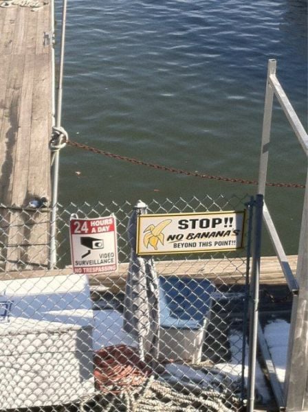 morning picdump 55 pics 2.html - 55 HD Photos | Premium Gallery 2013